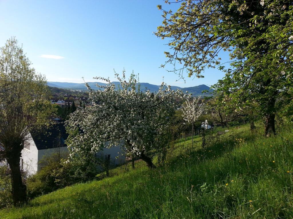 Teck-Apartment Kirchheim unter Teck Εξωτερικό φωτογραφία